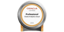 Oracle Analytics Cloud 2025 Certified Professional